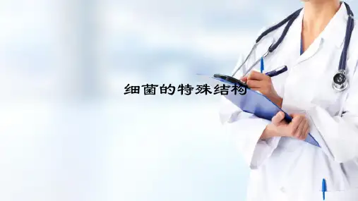 微生物学 细菌 细菌的特殊结构