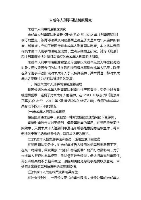 未成年人刑事司法制度研究