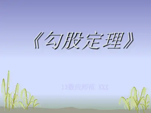 《勾股定理》说课PPT