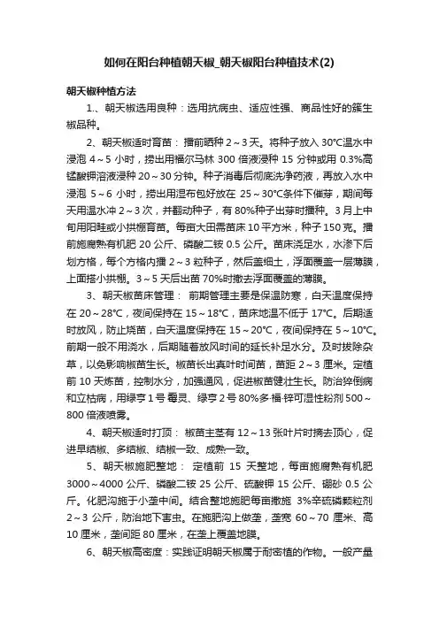 如何在阳台种植朝天椒_朝天椒阳台种植技术（2）