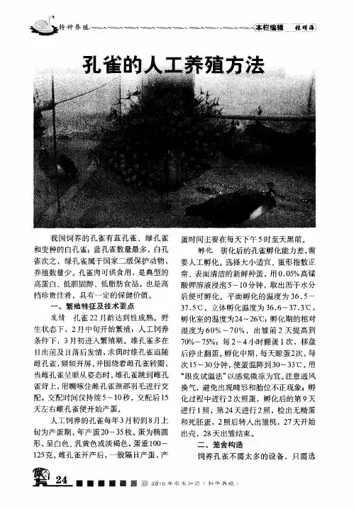 孔雀的人工养殖方法