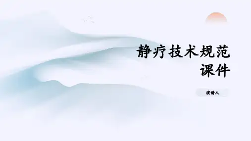 静疗技术规范课件