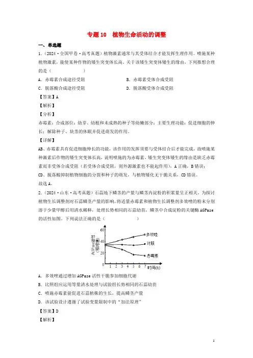 全国通用2024_2025三年高考生物真题分项汇编专题10植物生命活动的调节