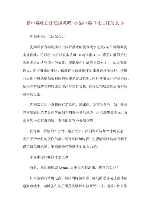 猫中毒吐白沫还能救吗-小猫中毒口吐白沫怎么办