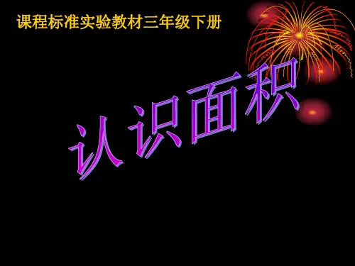 《什么是面积》面积PPT课件