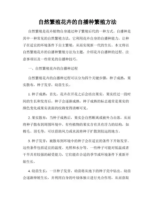 自然繁殖花卉的自播种繁殖方法