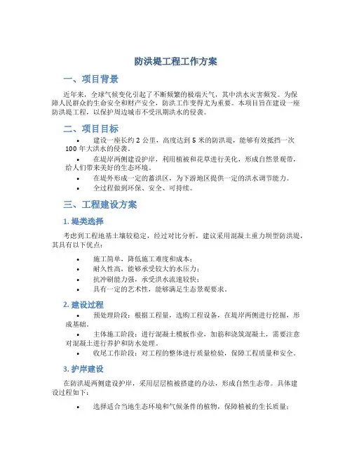 防洪堤工程工作方案
