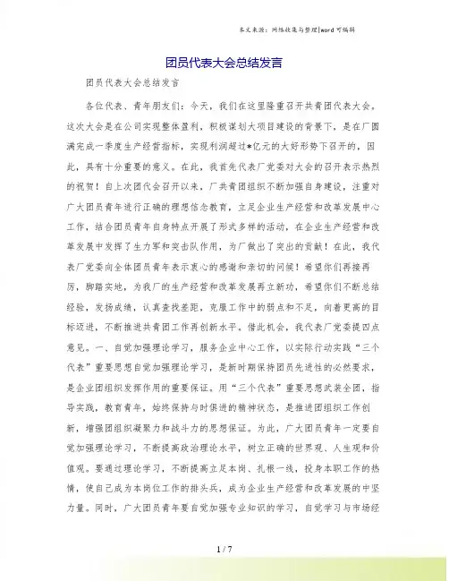 团员代表大会总结发言