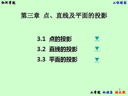 工程制图 点、直线及平面的投影