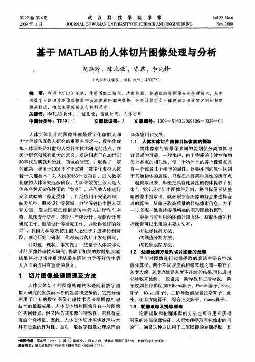 基于MATLAB的人体切片图像处理与分析