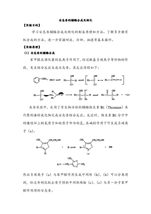 安息香的辅酶合成及转化