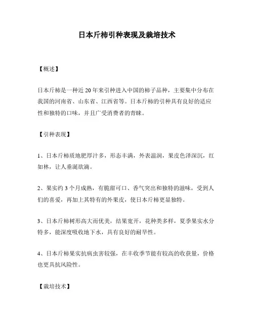 日本斤柿引种表现及栽培技术
