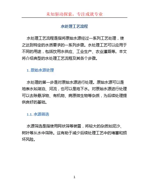 水处理工艺流程 (2)