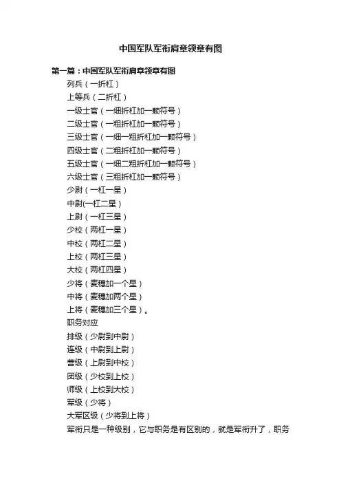 中国军队军衔肩章领章有图