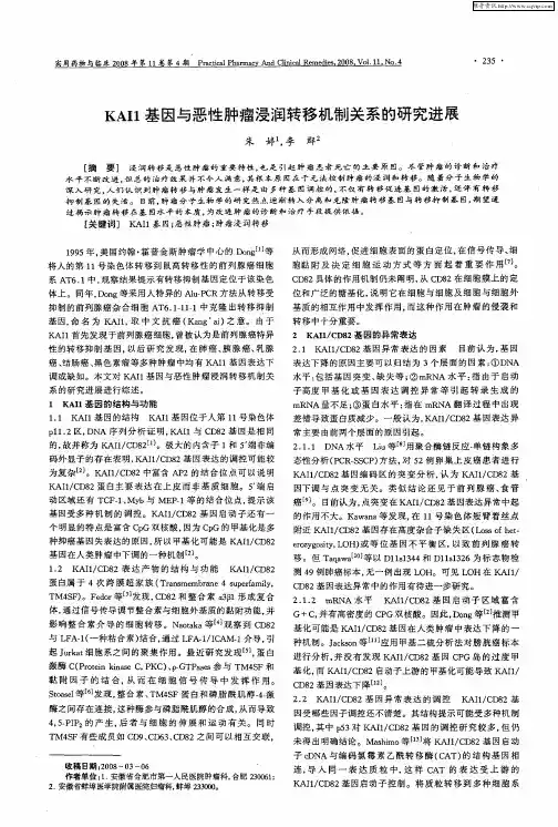 KAI1基因与恶性肿瘤浸润转移机制关系的研究进展