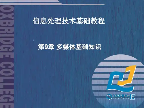 《多媒体基础知识》PPT课件