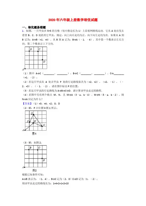 2020年六年级上册数学培优试题