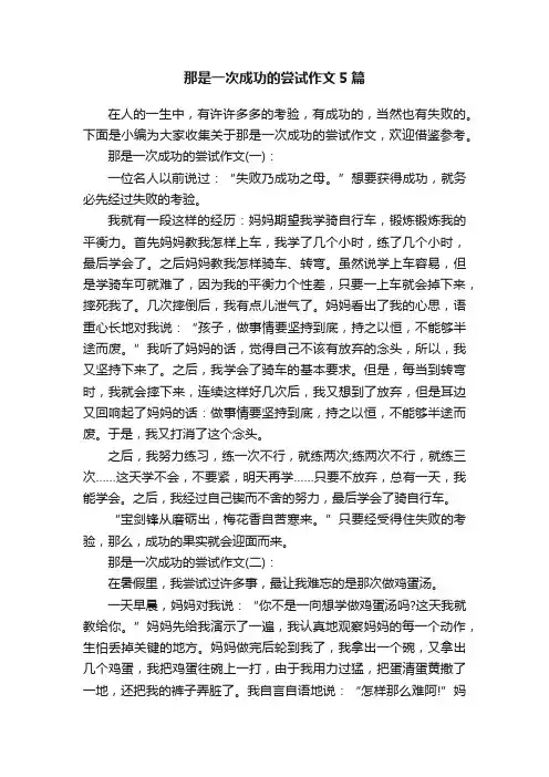 那是一次成功的尝试作文5篇