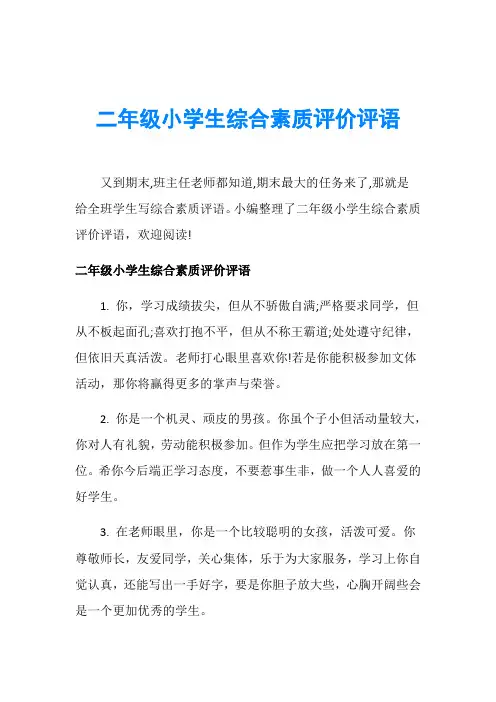 二年级小学生综合素质评价评语