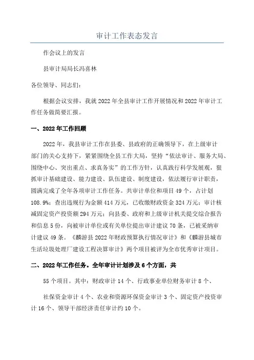 审计工作表态发言