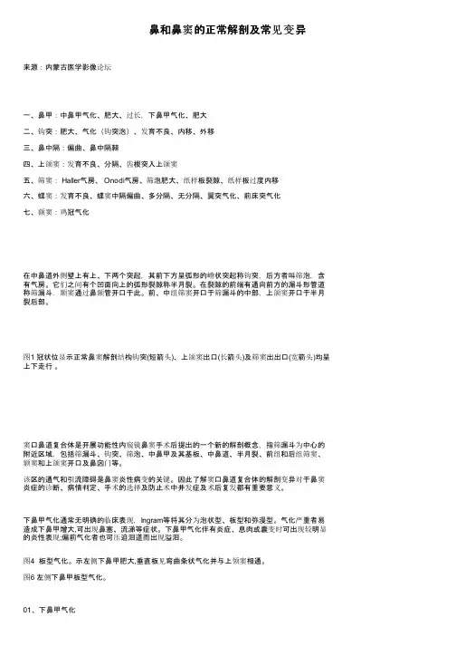 鼻和鼻窦的正常解剖及常见变异