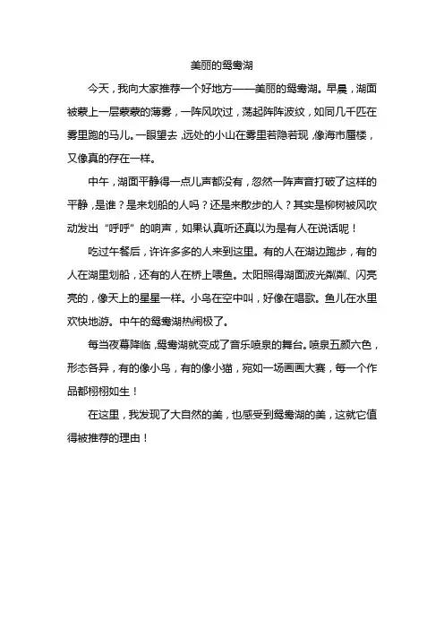 美丽的鸳鸯湖