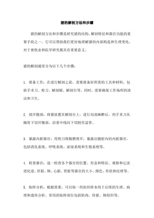 猪的解剖方法和步骤