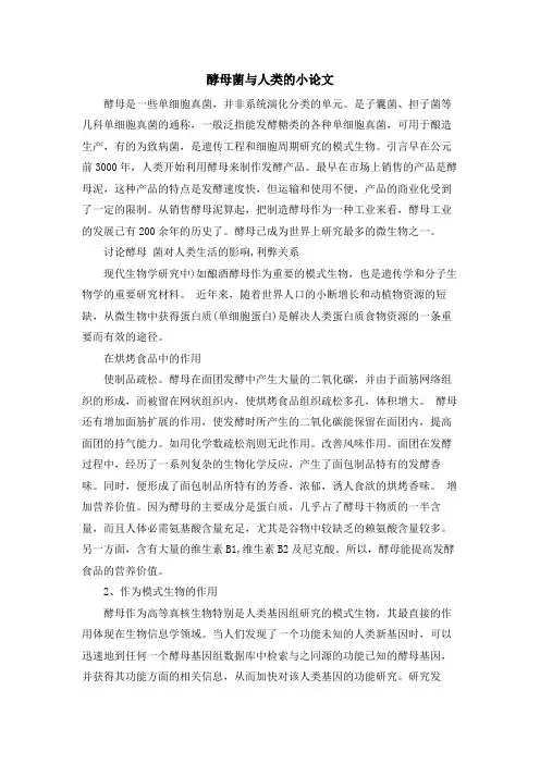 酵母菌与人类的小论文