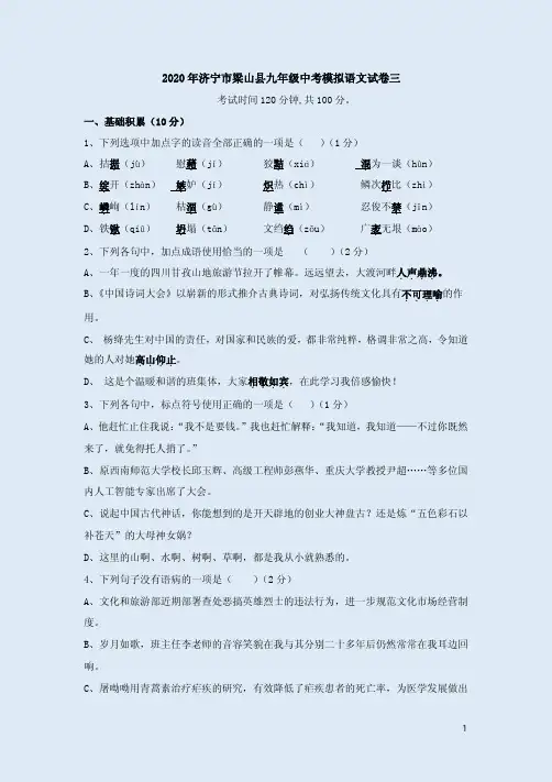 2020年济宁市梁山县九年级中考模拟语文试卷三附答案解析
