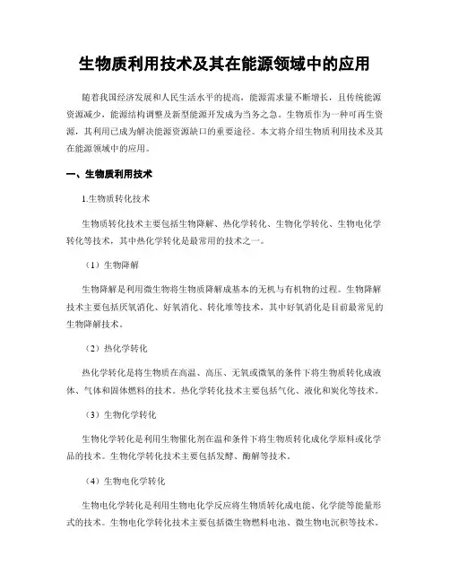 生物质利用技术及其在能源领域中的应用
