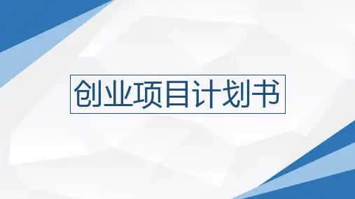 创业项目计划书PPT精品课件