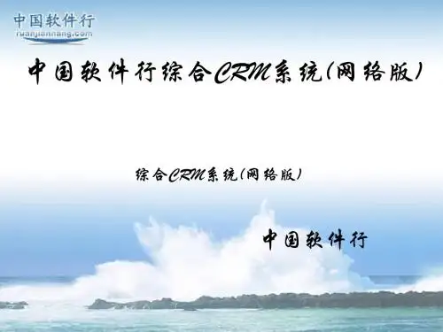中国软件行综合CRM系统(网络版)(精)