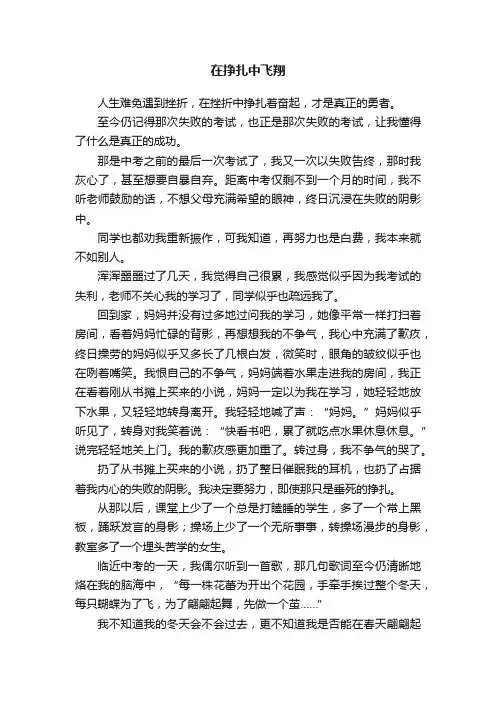 在挣扎中飞翔