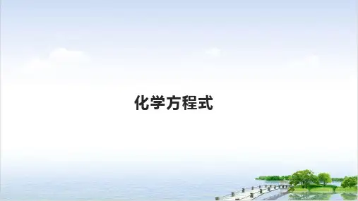 浙教版科学八年级下《化学方程式》ppt完美课件2
