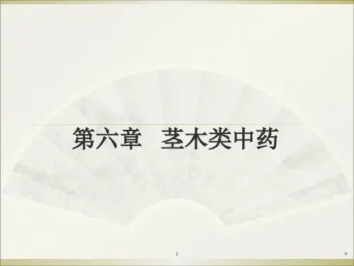 《茎木类中药》PPT课件