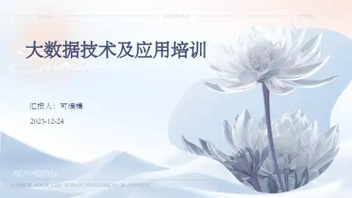 大数据技术及应用培训优质PPT
