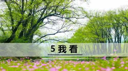 《我看》语文教学PPT课件(6篇)
