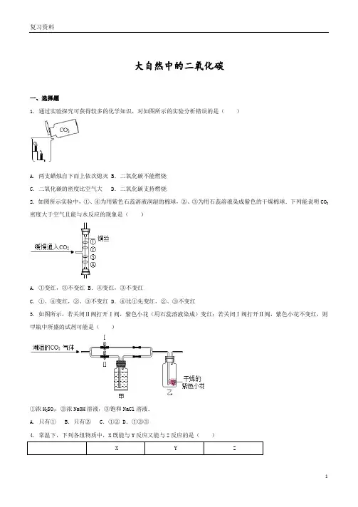 中考化学专题训练大自然中的二氧化碳