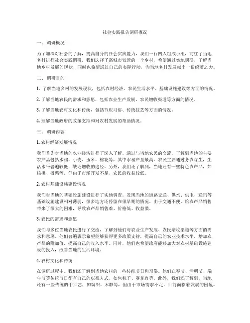 社会实践报告调研概况