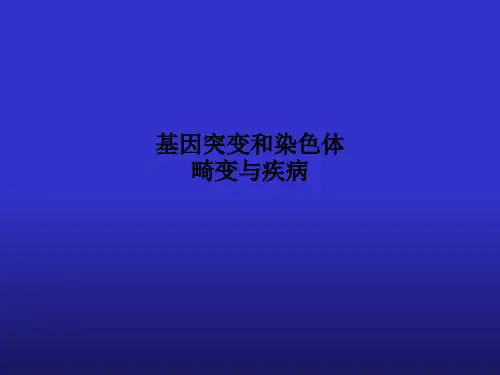 基因突变和染色体畸变与疾病PPT课件