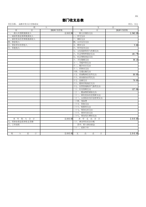 部门收支总表