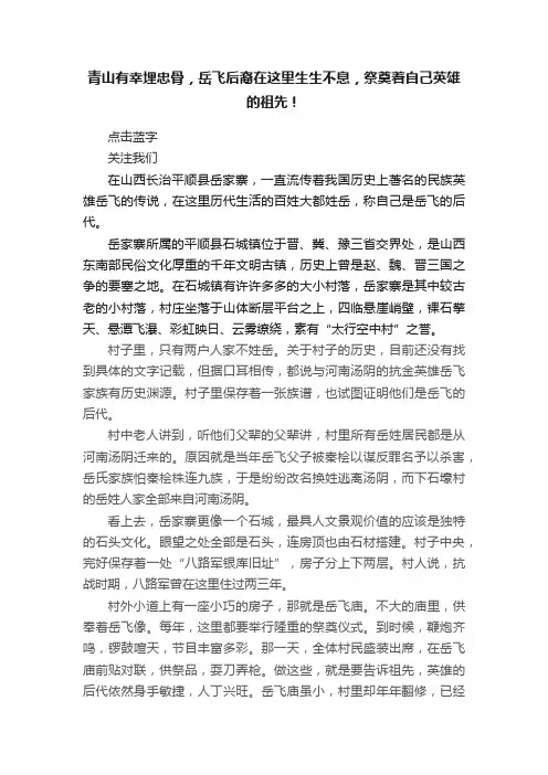 青山有幸埋忠骨，岳飞后裔在这里生生不息，祭奠着自己英雄的祖先！