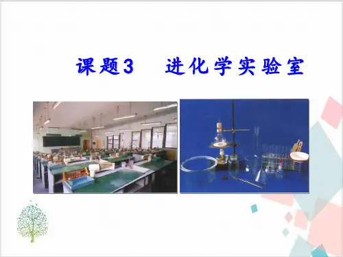人教版《走进化学实验室》_优秀课件