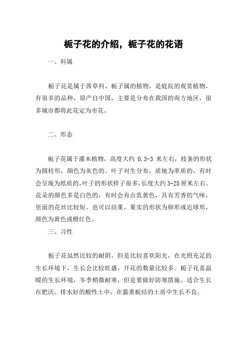 栀子花的介绍,栀子花的花语