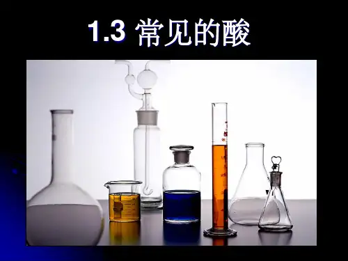 浙教版科学九年级上册第一章 第3节 常见的酸ppt课件