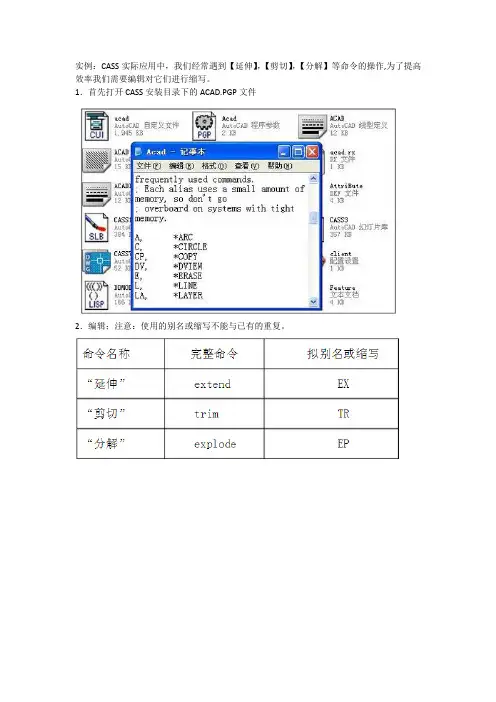cass操作小技巧【范本模板】