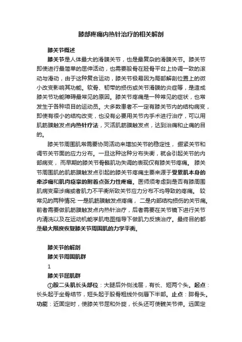 膝部疼痛内热针治疗的相关解剖