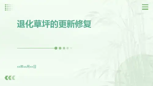 退化草坪的更新修复
