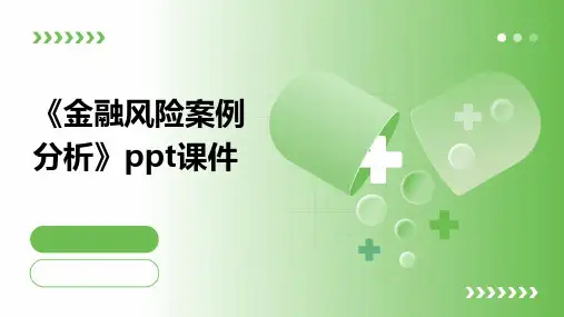 《金融风险案例分析》课件