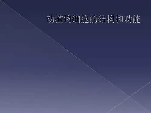 动植物细胞的结构和功能